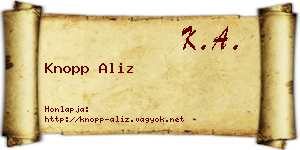 Knopp Aliz névjegykártya